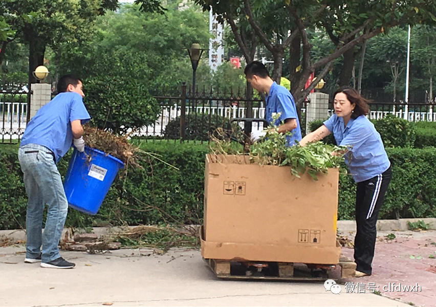 1560775835584745.jpg 0.jpg